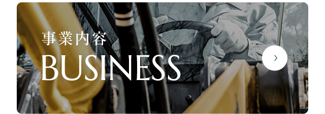 sp_bnrhalf01_business